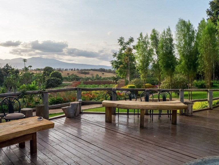 ngorongoro farm hotel (2)