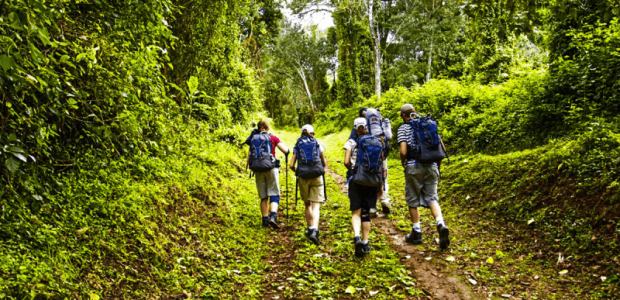 6 days marangu route