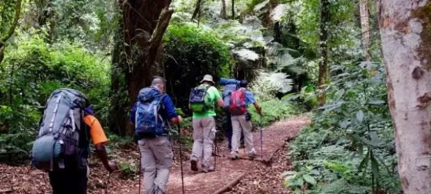 7 days lemosho route-1