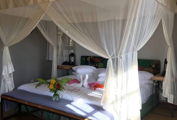 ngorongroro farm hotel