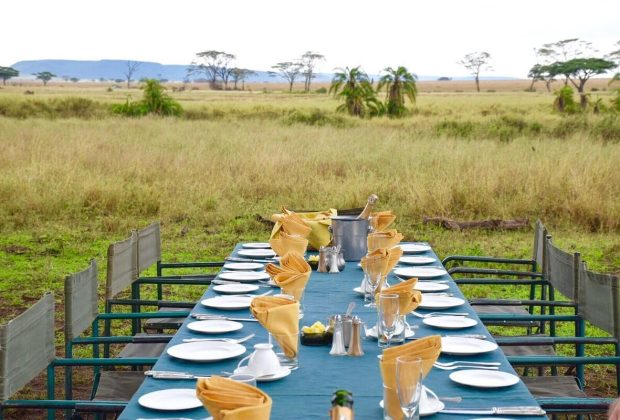 serena serengeti hotel