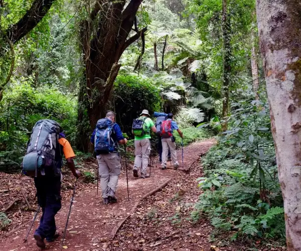 7 days lemosho route-1